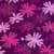 Brod’art - Tissu 5 Yards avec Voile - Violet/Fuchsia/Rose