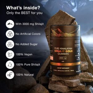 Shilajit Gold Gummies – Complément Alimentaire 3000mg (60 Gummies)
