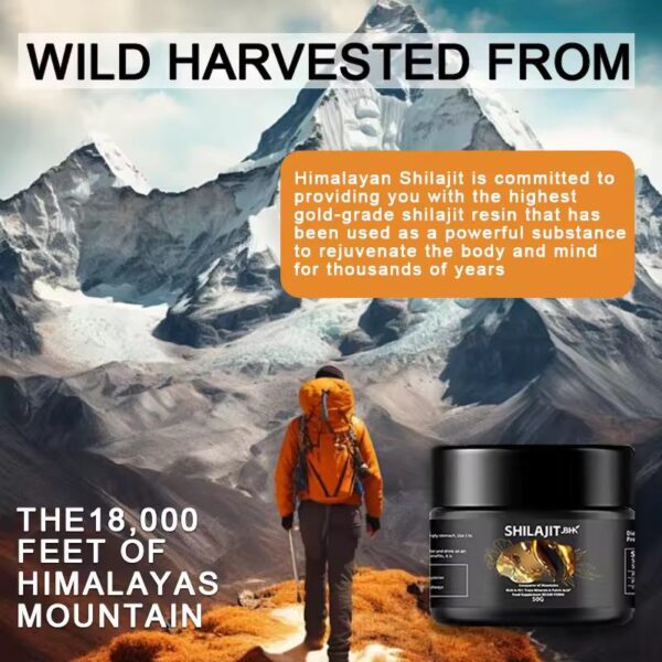 Shilajit Résine – 30g – Image 12
