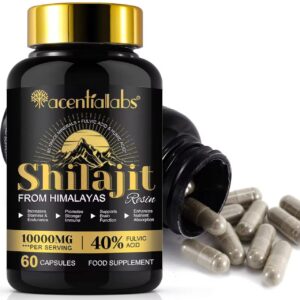 Shilajit – Capsules 10000mg (60 gélules)