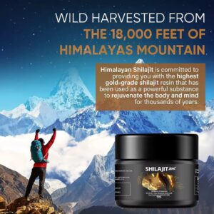 Shilajit Résine – 30g