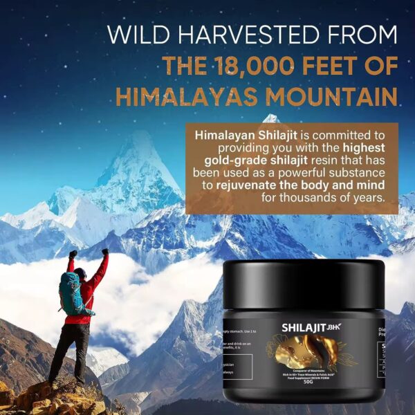 Shilajit Résine – 30g – Image 3
