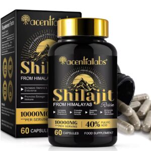 Shilajit – Capsules 10000mg (60 gélules)