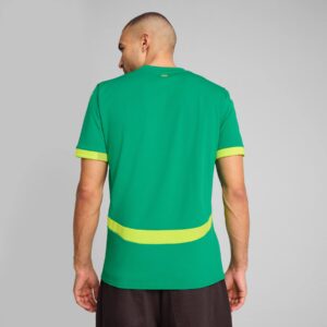 Maillot Officiel Sénégal Domicile Vert – Lions de la Téranga