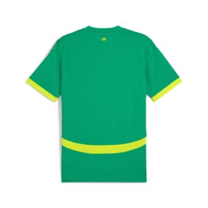 Maillot Officiel Sénégal Domicile Vert – Lions de la Téranga