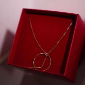 Collier Cercle Doré Élégant | Bijou Minimaliste Femme