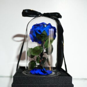 Rose Éternelle Bleue Sous Cloche | Cadeau Luxe Intemporel