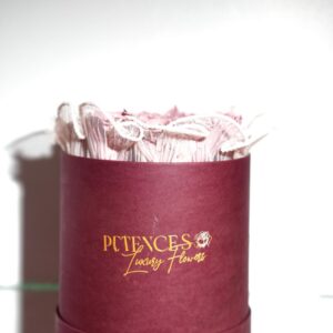 Box Florale Luxe  Roses Roses Pâles Cadeau Élégant